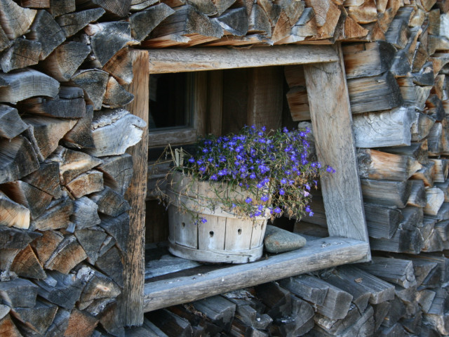 Almhütte Würmbachkaser