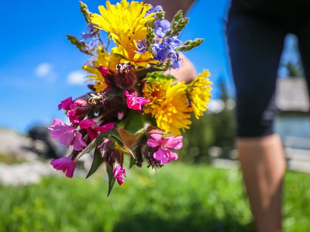 Ferienbauernhof Schwaigergut