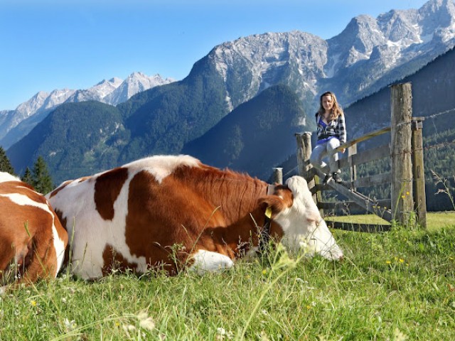 Ferienwohnungen Rass Lofer